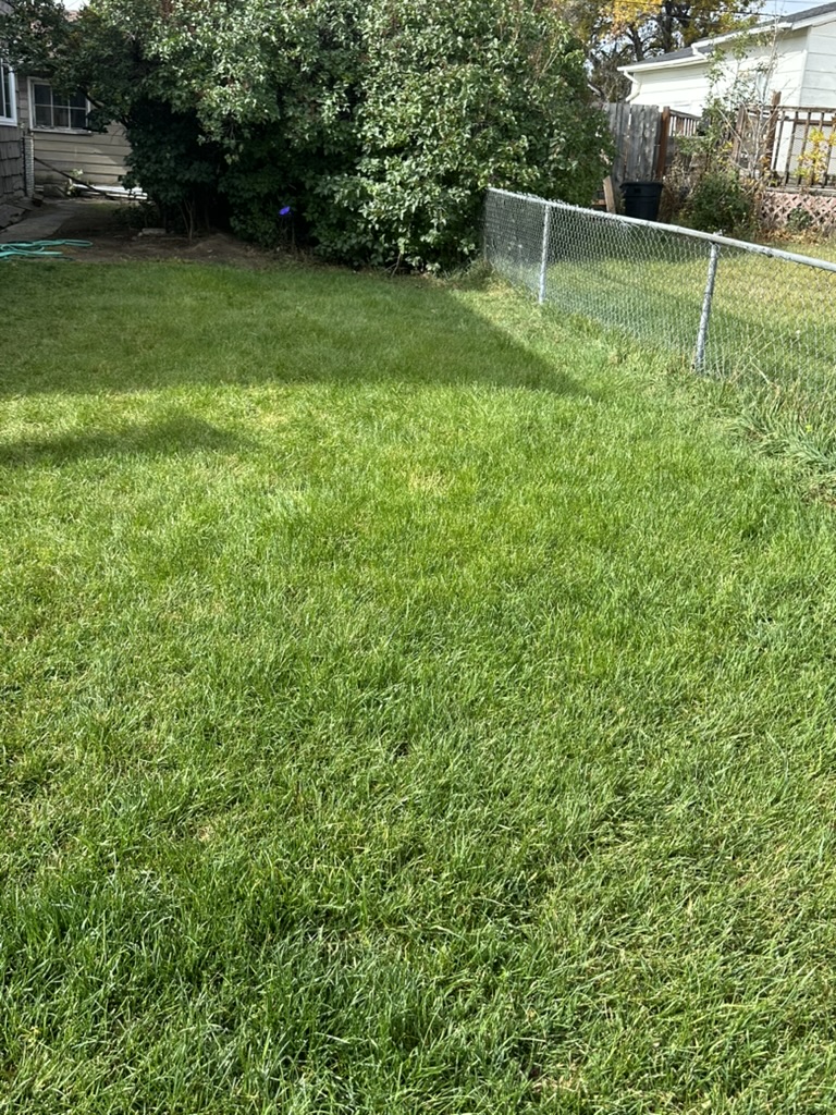 1021 S Wyoming Street