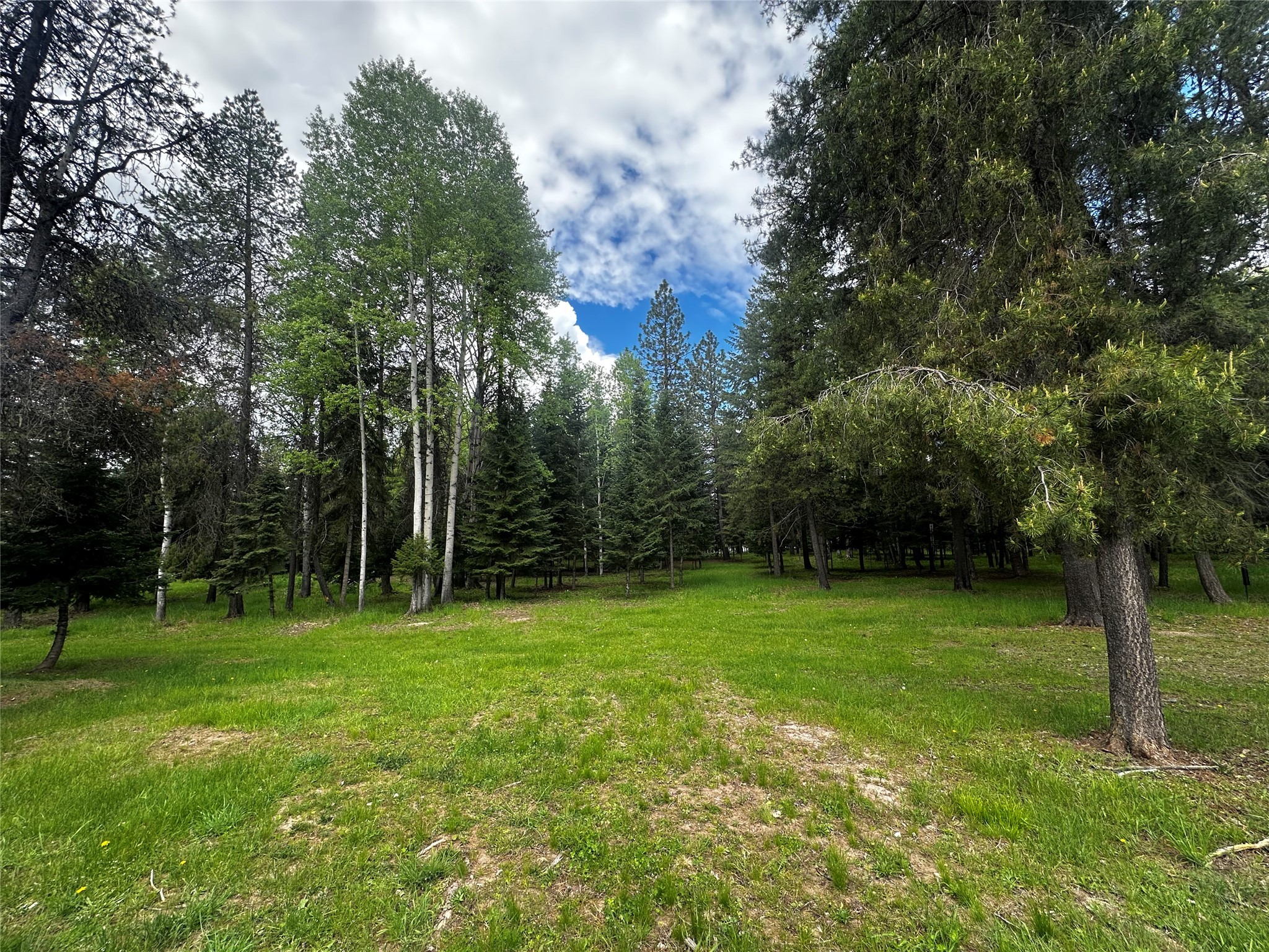 22 Pinewoods Drive
