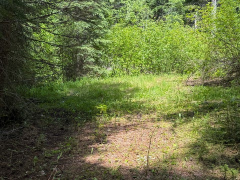 Tiny photo for Tract 2 Pardee Flat Road, Superior, MT 59872 (MLS # 30074044)
