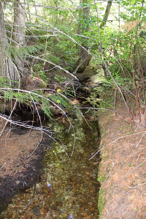 Tiny photo for Tract 2 Pardee Flat Road, Superior, MT 59872 (MLS # 30074044)