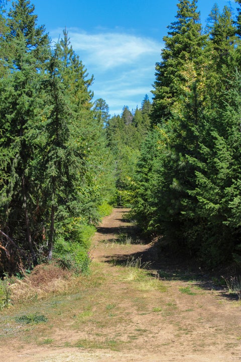 Tiny photo for Tract 2 Pardee Flat Road, Superior, MT 59872 (MLS # 30074044)