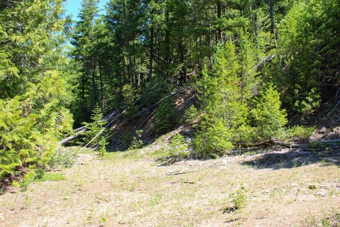 Tiny photo for Tract 2 Pardee Flat Road, Superior, MT 59872 (MLS # 30074044)