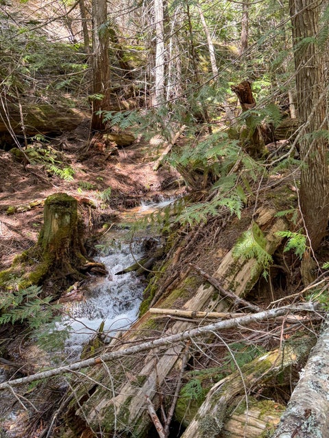 Tiny photo for Tract 2 Pardee Flat Road, Superior, MT 59872 (MLS # 30074044)