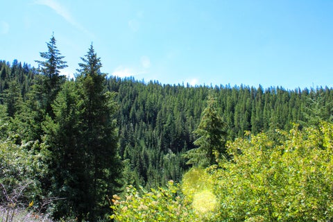 Tiny photo for Tract 2 Pardee Flat Road, Superior, MT 59872 (MLS # 30074044)