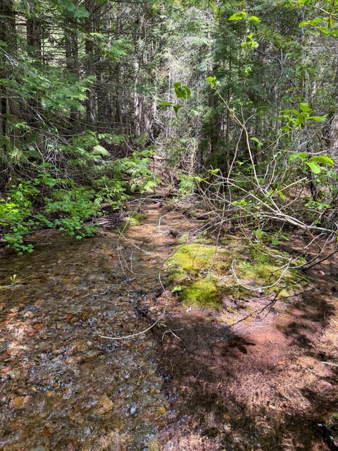 Tiny photo for Tract 2 Pardee Flat Road, Superior, MT 59872 (MLS # 30074044)