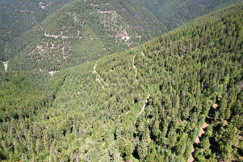 Tiny photo for Tract 2 Pardee Flat Road, Superior, MT 59872 (MLS # 30074044)