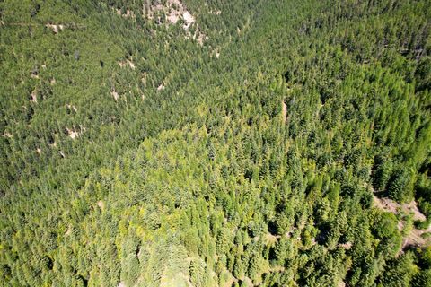 Photo of Tract 2 Pardee Flat Road, Superior, MT 59872 (MLS # 30074044)