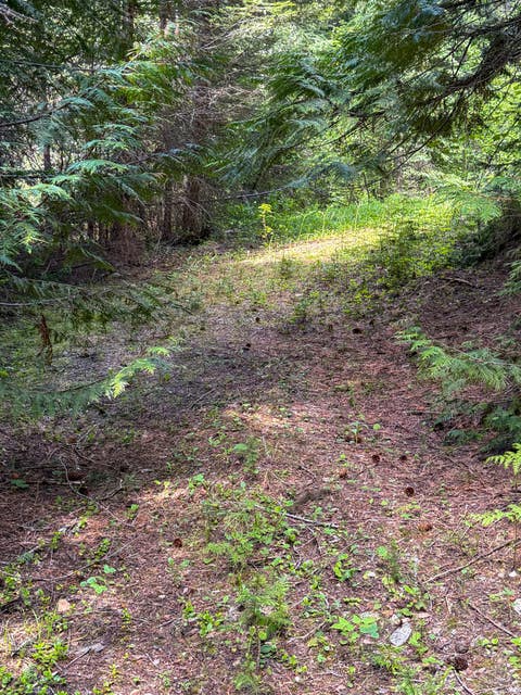 Tiny photo for Tract 2 Pardee Flat Road, Superior, MT 59872 (MLS # 30074044)