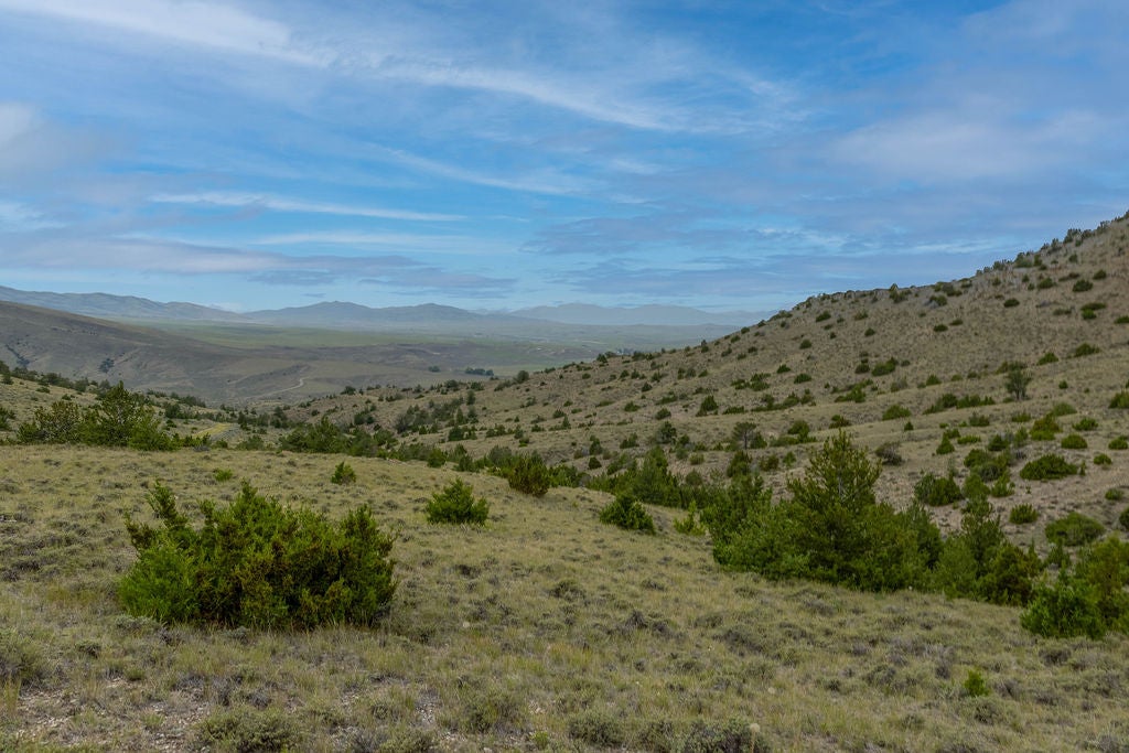 NHN Milligan Canyon Road