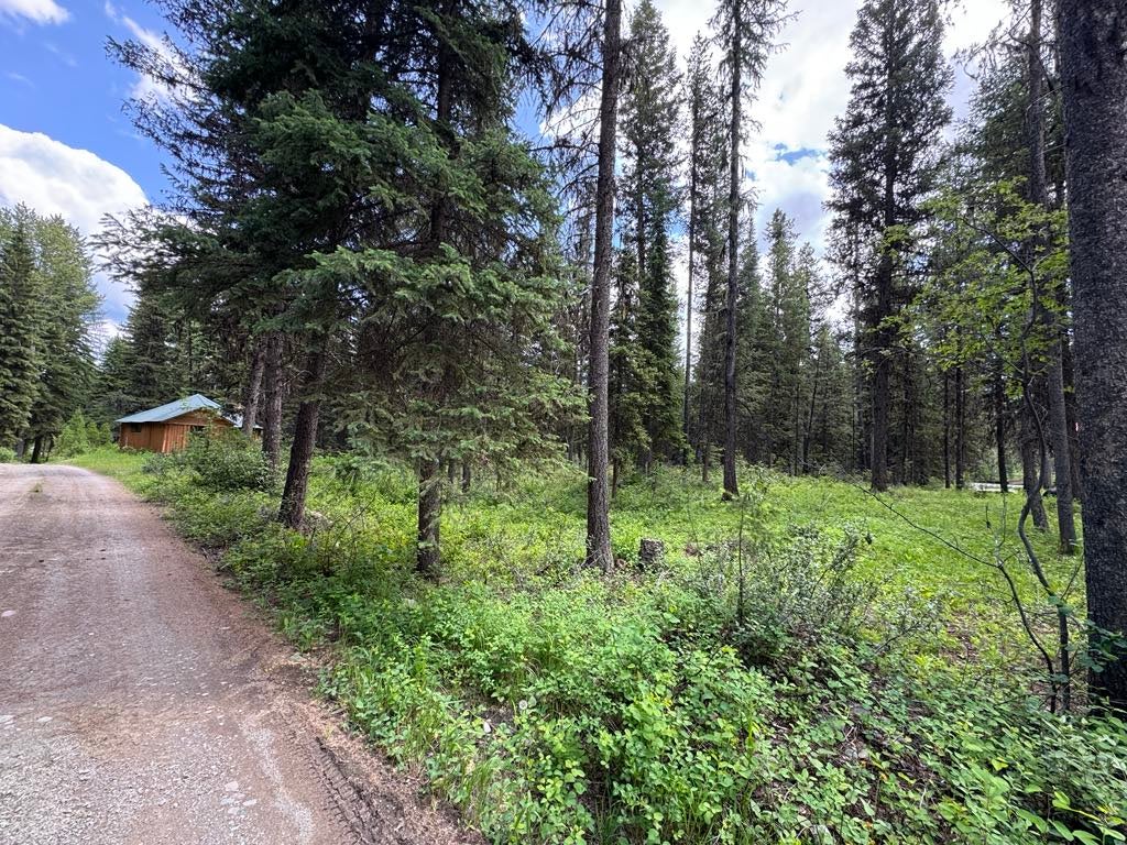 Photo of 768 Deep Woods Trail, Polebridge, MT 59928 (MLS # 30072001)