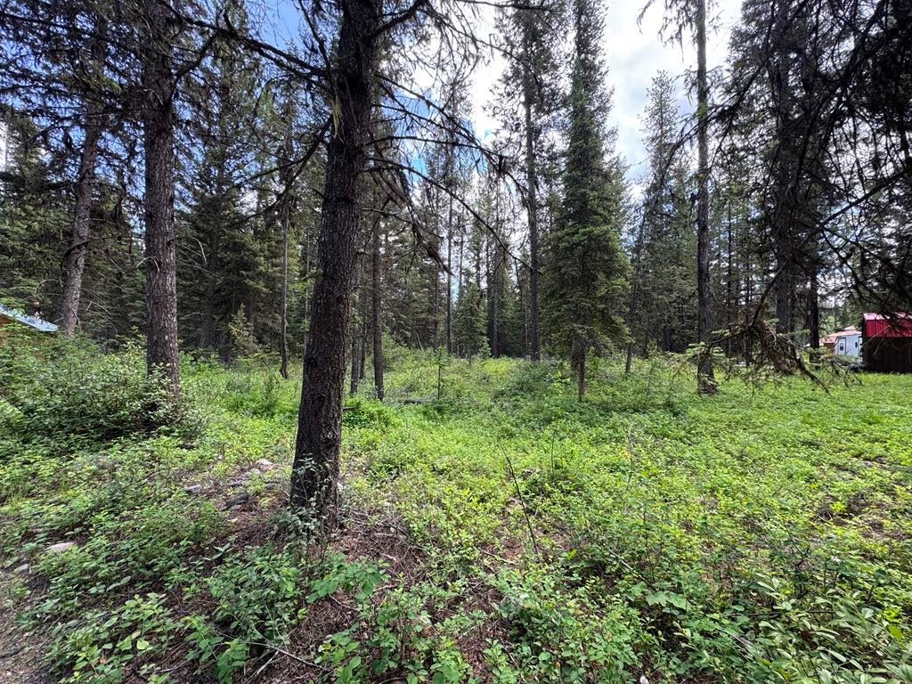 Photo of 768 Deep Woods Trail, Polebridge, MT 59928 (MLS # 30072001)