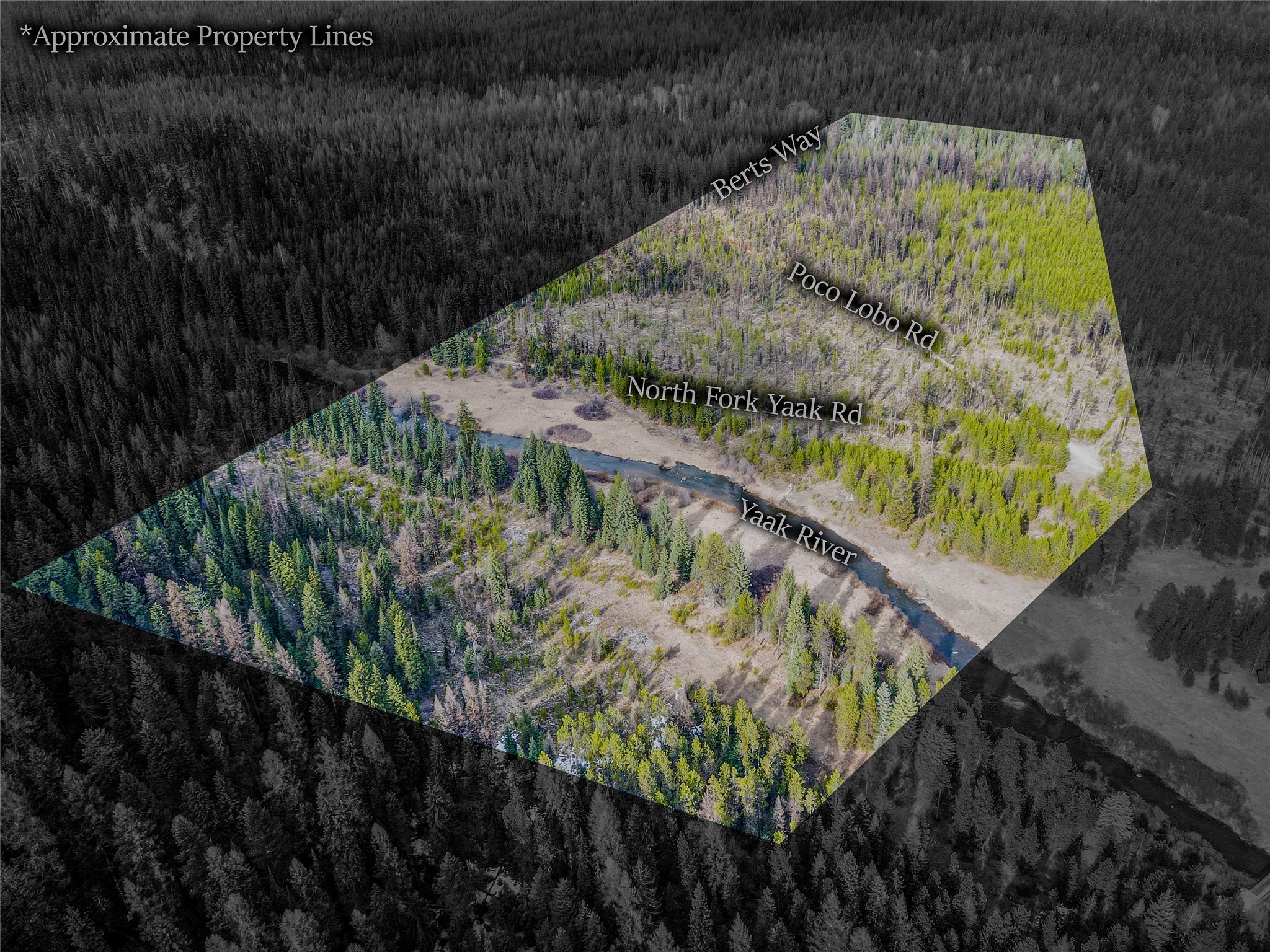 1656 N Fork Yaak Road