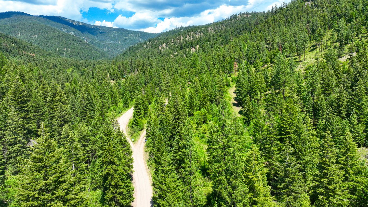 Nhn W Mountain Creek Road 3