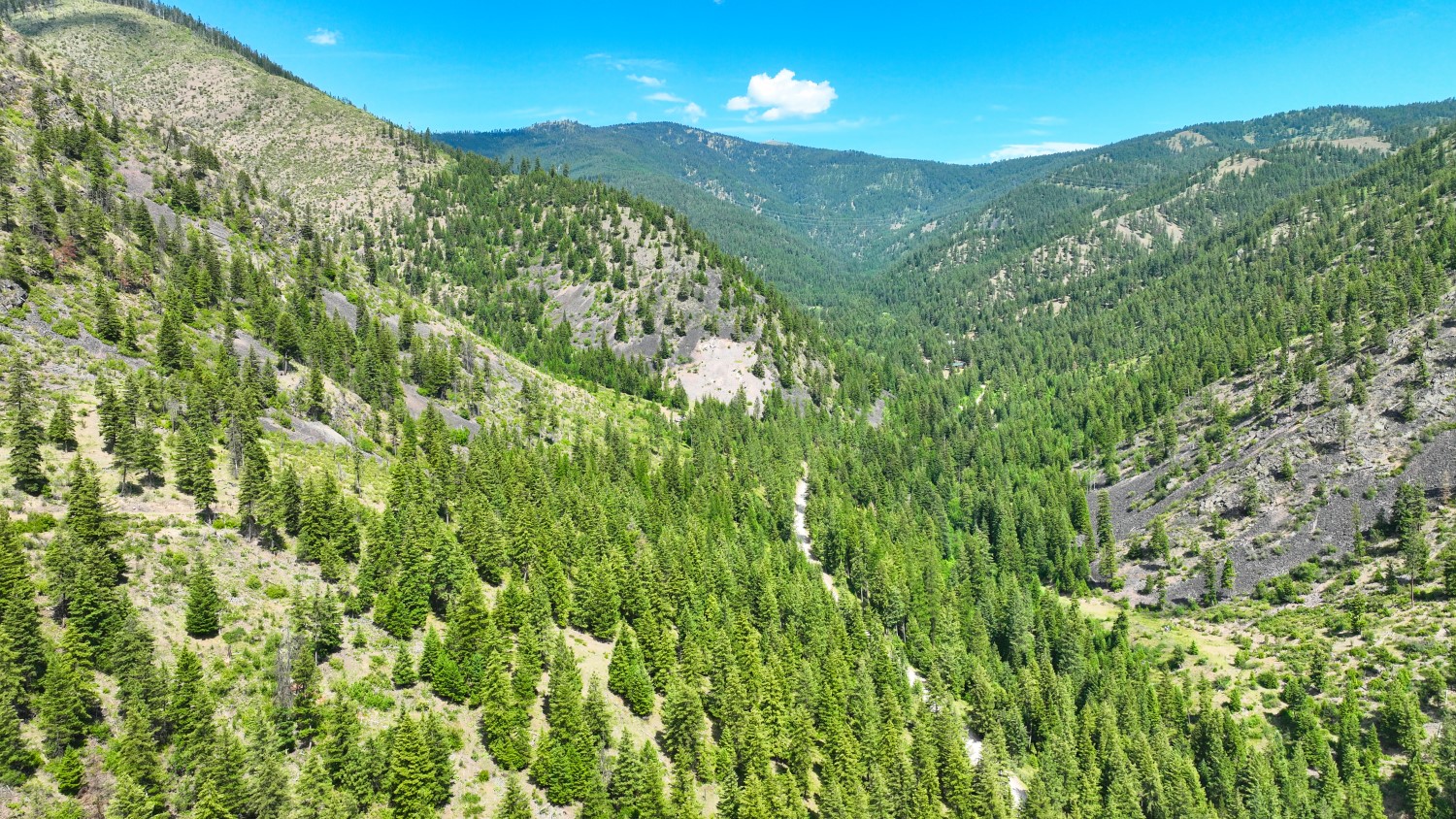 Nhn W Mountain Creek Road 3