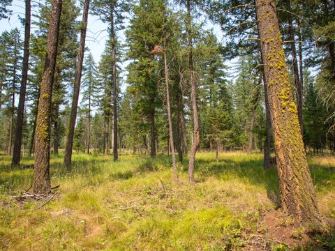 Photo of 415 Bowdish Road, Kalispell, MT 59901 (MLS # 30076029)