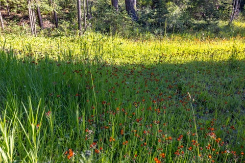 Tiny photo for 220 Cliff Creek Road, Whitefish, MT 59937 (MLS # 30073840)