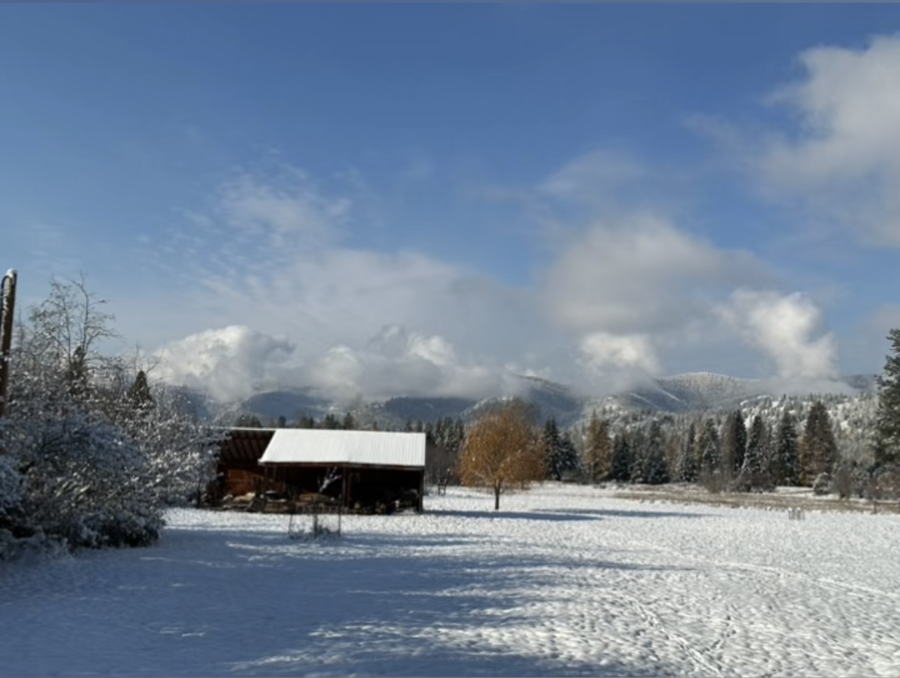 Libby, Montana, 59923, United States, 3 Bedrooms Bedrooms, ,2 BathroomsBathrooms,Residential,Active,1945847