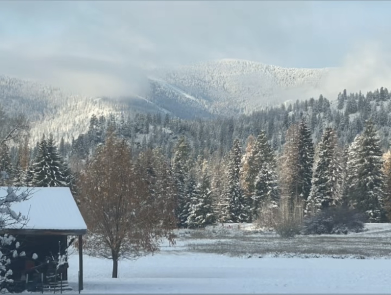 Libby, Montana, 59923, United States, 3 Bedrooms Bedrooms, ,2 BathroomsBathrooms,Residential,Active,1945847