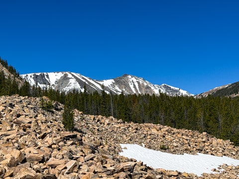 Tiny photo for 970 Lower Clear Creek Trail, Anaconda, MT 59711 (MLS # 30072070)