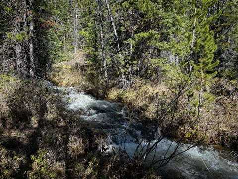 Tiny photo for 970 Lower Clear Creek Trail, Anaconda, MT 59711 (MLS # 30072070)