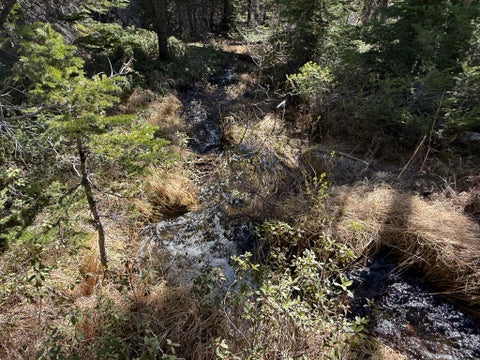 Tiny photo for 970 Lower Clear Creek Trail, Anaconda, MT 59711 (MLS # 30072070)