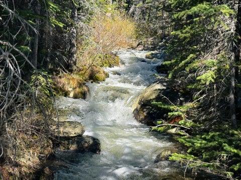 Photo of 970 Lower Clear Creek Trail, Anaconda, MT 59711 (MLS # 30072070)