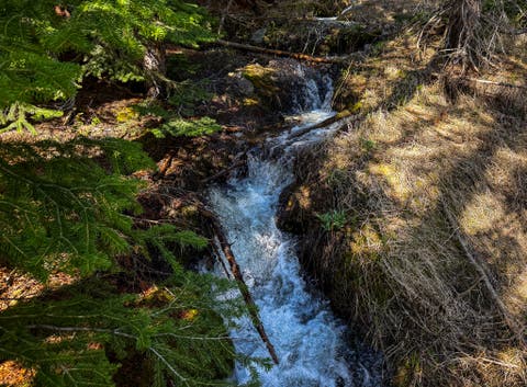 Tiny photo for 970 Lower Clear Creek Trail, Anaconda, MT 59711 (MLS # 30072070)