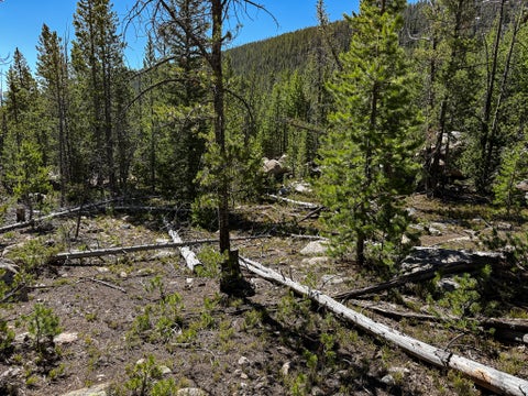 Tiny photo for 970 Lower Clear Creek Trail, Anaconda, MT 59711 (MLS # 30072070)