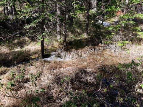 Tiny photo for 970 Lower Clear Creek Trail, Anaconda, MT 59711 (MLS # 30072070)