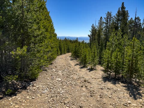 Tiny photo for 970 Lower Clear Creek Trail, Anaconda, MT 59711 (MLS # 30072070)