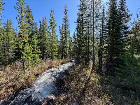 Tiny photo for 970 Lower Clear Creek Trail, Anaconda, MT 59711 (MLS # 30072070)