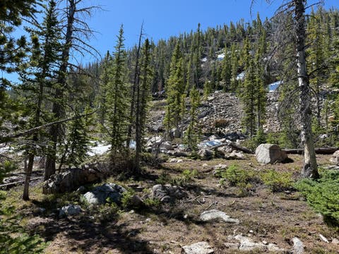 Tiny photo for 970 Lower Clear Creek Trail, Anaconda, MT 59711 (MLS # 30072070)