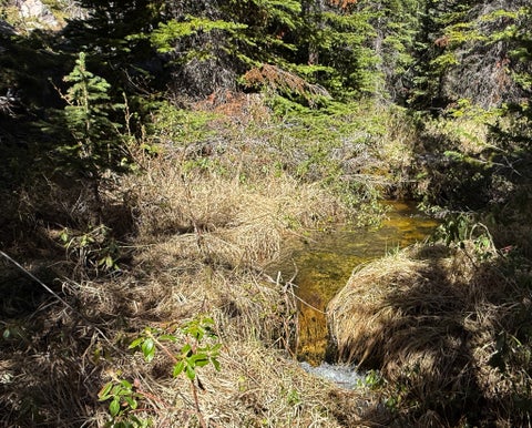 Tiny photo for 970 Lower Clear Creek Trail, Anaconda, MT 59711 (MLS # 30072070)