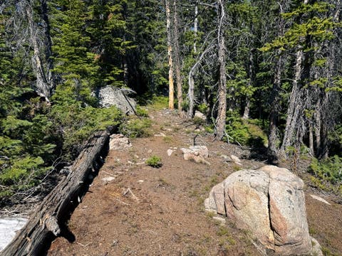 Tiny photo for 970 Lower Clear Creek Trail, Anaconda, MT 59711 (MLS # 30072070)