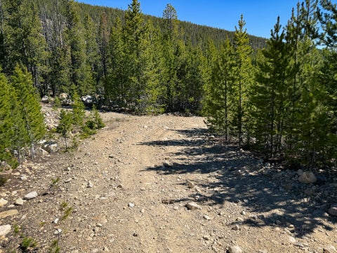 Tiny photo for 970 Lower Clear Creek Trail, Anaconda, MT 59711 (MLS # 30072070)