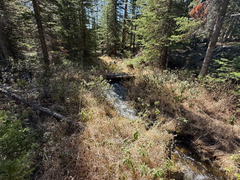 Tiny photo for 970 Lower Clear Creek Trail, Anaconda, MT 59711 (MLS # 30072070)