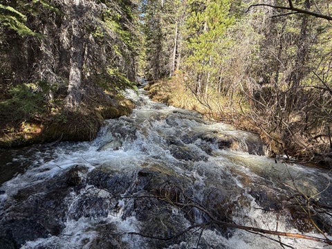Tiny photo for 970 Lower Clear Creek Trail, Anaconda, MT 59711 (MLS # 30072070)