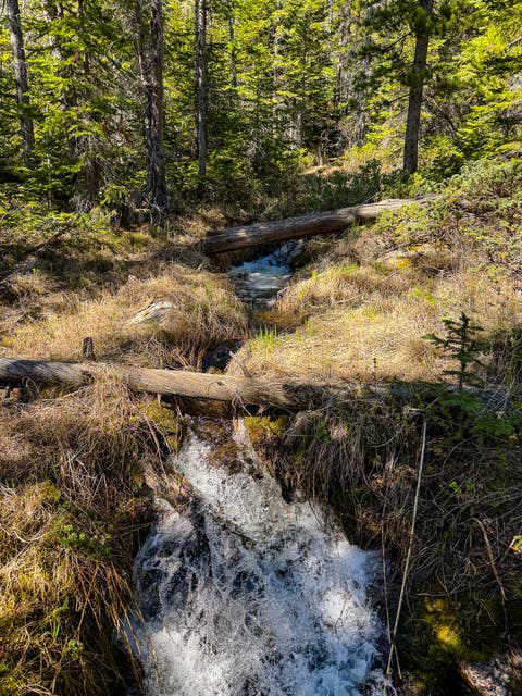 Tiny photo for 970 Lower Clear Creek Trail, Anaconda, MT 59711 (MLS # 30072070)