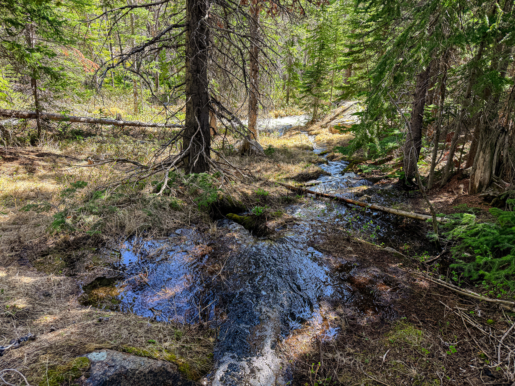 970 Lower Clear Creek Trail