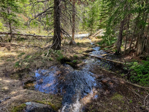 Tiny photo for 970 Lower Clear Creek Trail, Anaconda, MT 59711 (MLS # 30072070)