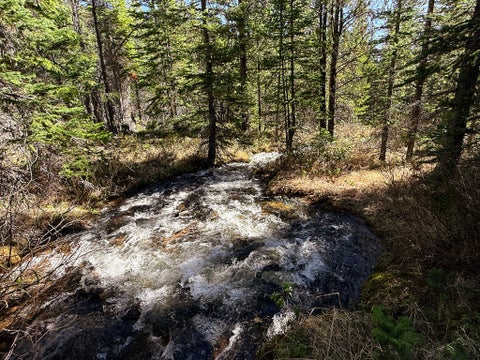Tiny photo for 970 Lower Clear Creek Trail, Anaconda, MT 59711 (MLS # 30072070)