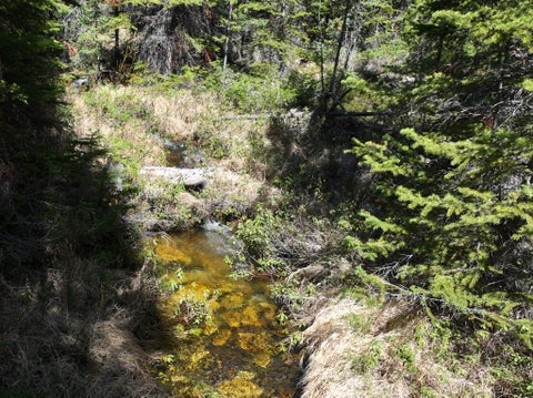 Tiny photo for 970 Lower Clear Creek Trail, Anaconda, MT 59711 (MLS # 30072070)