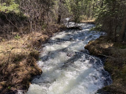 Tiny photo for 970 Lower Clear Creek Trail, Anaconda, MT 59711 (MLS # 30072070)