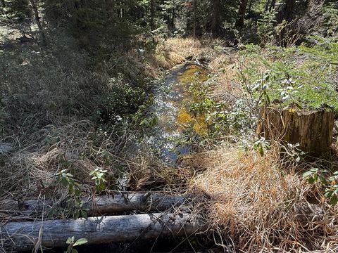 Tiny photo for 970 Lower Clear Creek Trail, Anaconda, MT 59711 (MLS # 30072070)