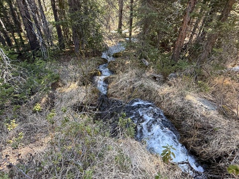 Tiny photo for 970 Lower Clear Creek Trail, Anaconda, MT 59711 (MLS # 30072070)