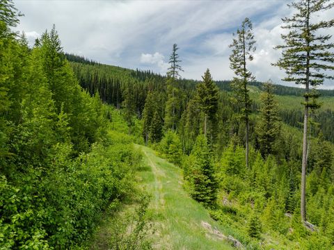 Tiny photo for Nhn Fish Creek Road, Kalispell, MT 59901 (MLS # 30052239)