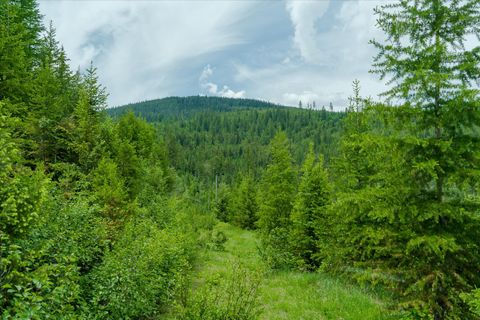 Tiny photo for Nhn Fish Creek Road, Kalispell, MT 59901 (MLS # 30052239)