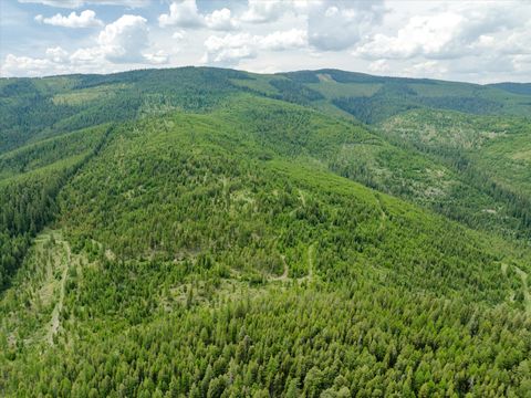 Tiny photo for Nhn Fish Creek Road, Kalispell, MT 59901 (MLS # 30052239)