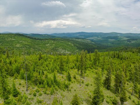 Tiny photo for Nhn Fish Creek Road, Kalispell, MT 59901 (MLS # 30052239)