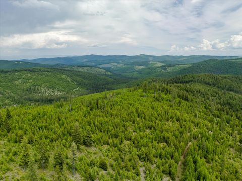 Tiny photo for Nhn Fish Creek Road, Kalispell, MT 59901 (MLS # 30052239)